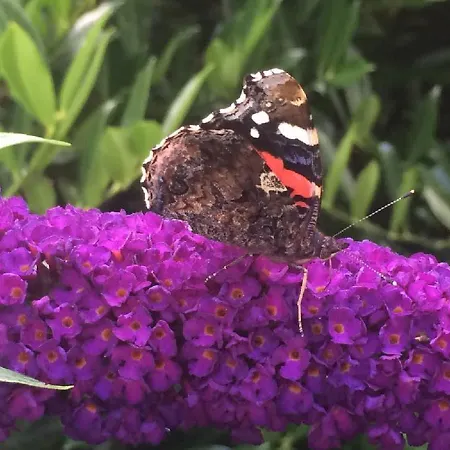 Smidstrupvej 3 - The ファームステイ *