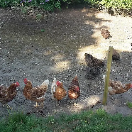 Smidstrupvej 3 - The Farm stay