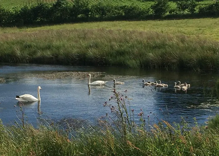 Feriegård Smidstrupvej 3 - The Gadbjerg